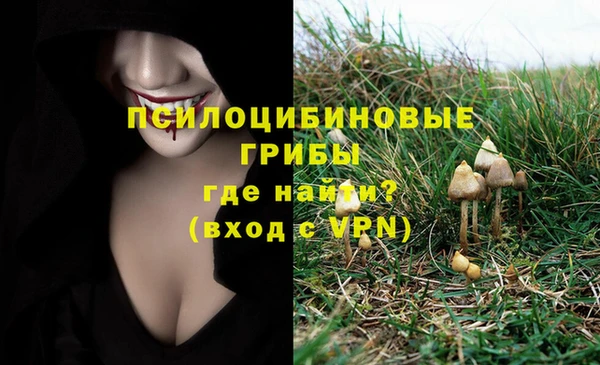 герыч Нея