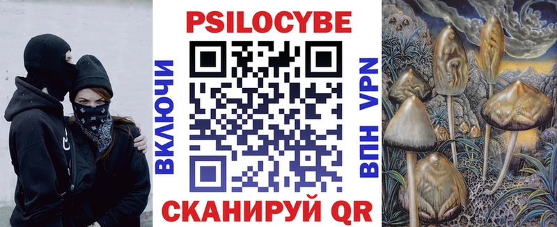darknet как зайти где можно купить Рыбное Псилоцибиновые грибы Cubensis